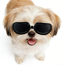 Dog Goggles Small Breed, Dog Sunglasses UV Protection, Cycling Eye Protection fo