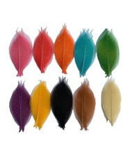 100 PCS Mixed Colors 45 Inch Skeleton Leaves Rubber Tree Scrapbook Craft