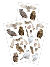 Stickers PH Slim Different Types of Owls Owl