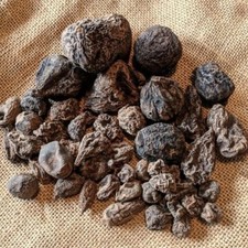 High John root | The Conqueror Root | Wicca P...