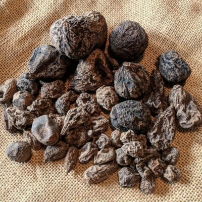 #ad High John root The Conqueror Root Wicca Pagan Curio Magick 8 oz $50.00