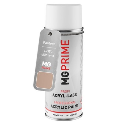 Pantone 4735C Brown Beige Spraydose 400 ml glänzend schnelltrocknend