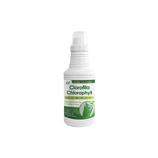 Herbal Solutions Liquid Chlorophyll - Natural Detox & Internal Freshness