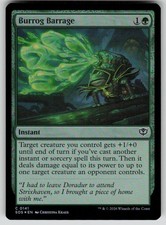 Burrog Barrage Foil Common Secrets of Strixhaven 141 MTG Near Mint 2026