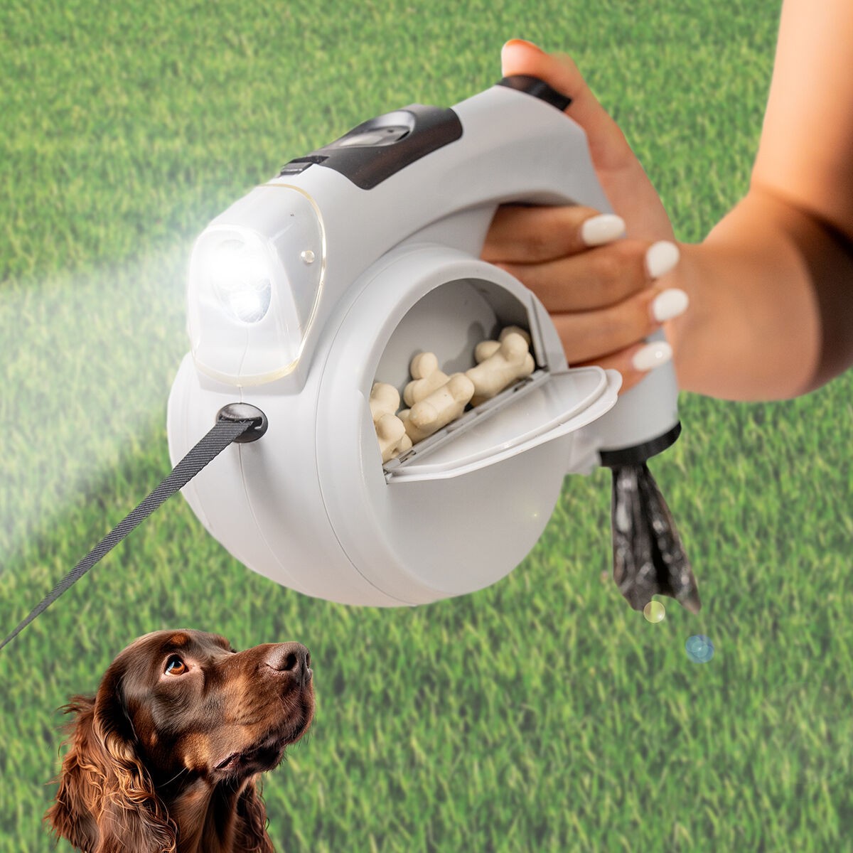 Laisse de chien rétractable 6 en 1 avec lampe et distributeur pour balade sans stress