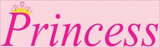 10in x 3in Pink Princess Bumper magnet Vinyl Car  magnetic magne