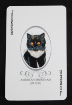 Cat Lovers Playing Card Red Back American Shorthair Joker