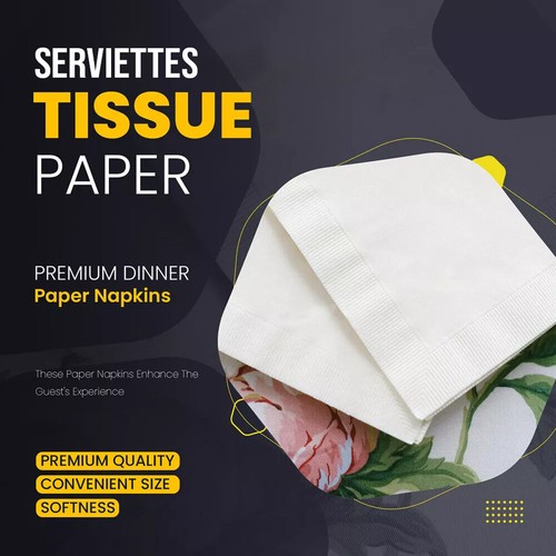 Swantex tovaglioli di carta tovaglioli monouso carta velina 33 cm / 40 cm 2 strati - Foto 33 di 53