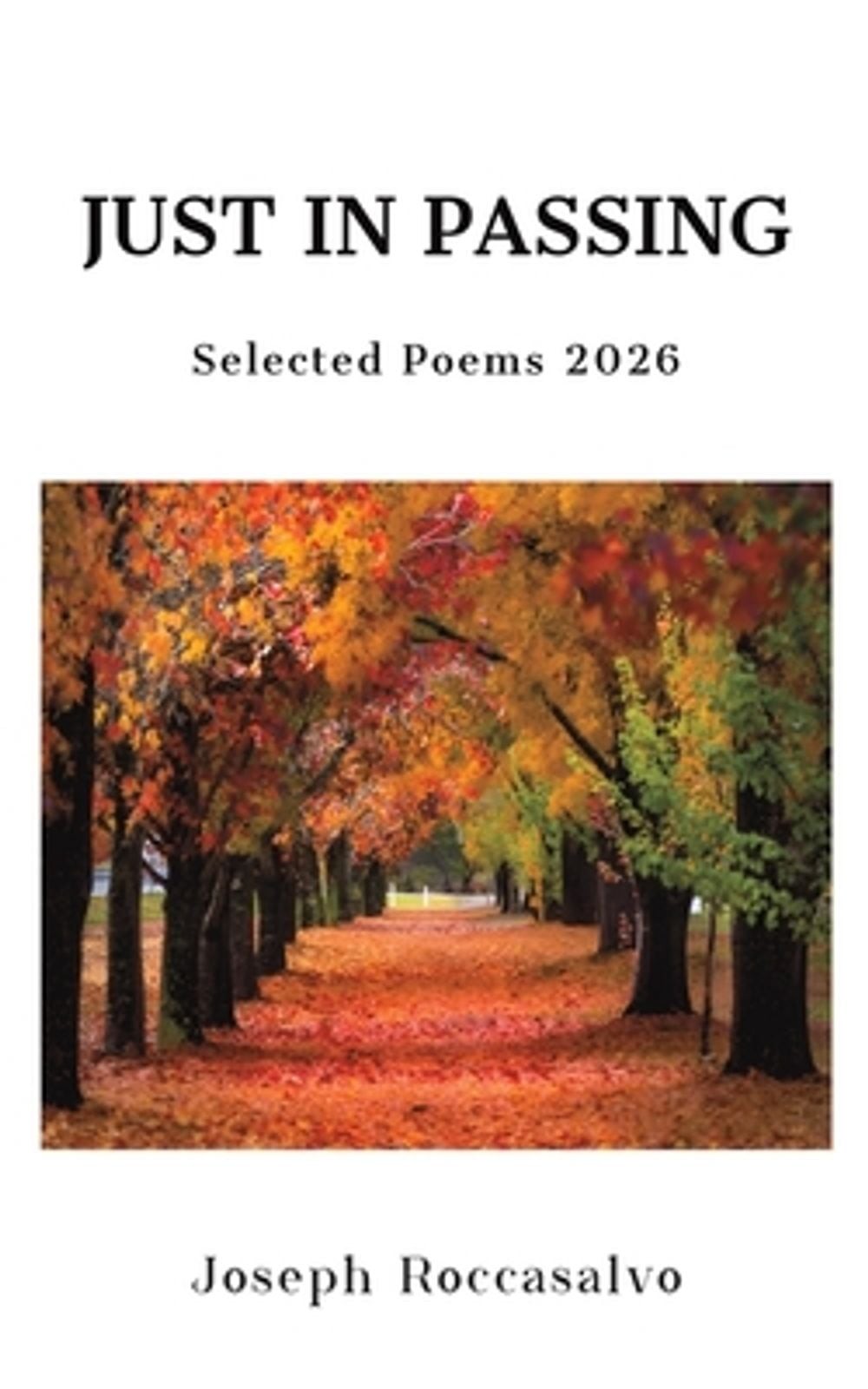 Just in Passing by Joseph Roccasalvo (Paperback Book) - Image 5