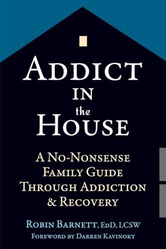 Addict in the House: A No-Nonsense Family Guide Through Addict . - Image 6