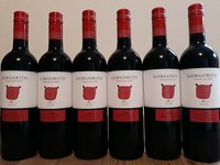 (8,00€/1L.) 6 Fl. Gorgorito Toro Bodegas Copaboca Klasse Trockener Rotwein
