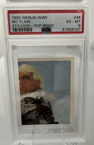 1992 Ric Flair #46