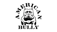 American Bully Dog Stencil – 5.5x5.5 Reusable Mylar Template