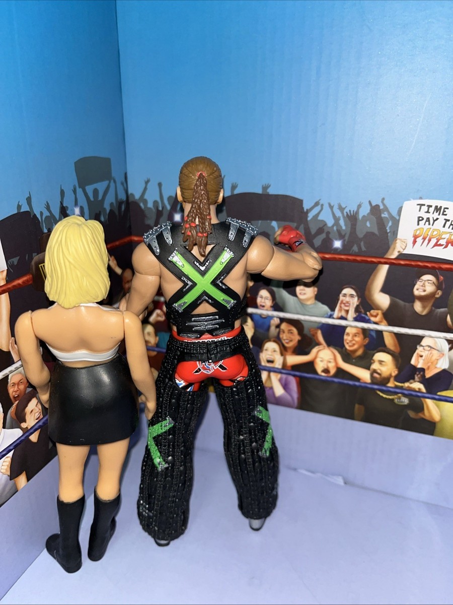 WWE Custom Elite DX HBK Shawn Michaels W Sunny Action Figures | eBay