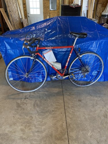 1985 Raleigh Lightweight Team USA Men’s Bicycle