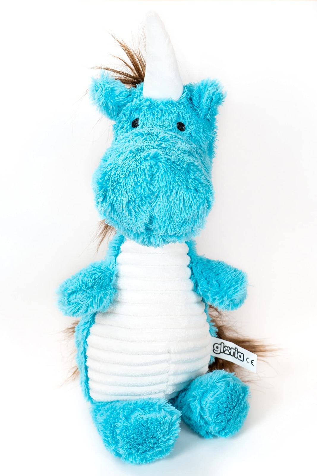 gloria Finn, teddy dog