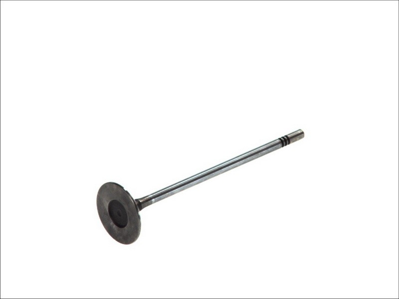 Fits FRECCIA 6366/SCR Intake Valve 6366/SCR Intake valve (31,2x5x117, ⭐UK Stock⭐