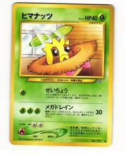 Sunkern No. 191 Common 2000 Neo Genesis Pokemon Japanese HP