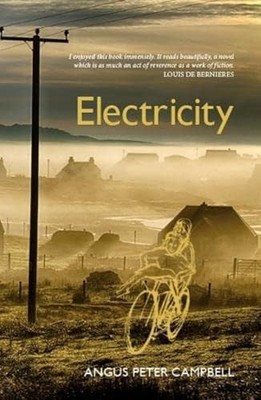 Electricity Paperback / softback Book The Fast Free Shipping