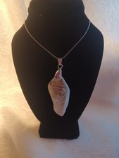 Sea Shell Pendant Necklace