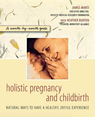 Holistic Pregnancy and Childbirth: A Month-by-month Buch John Wiley & Sons Inc