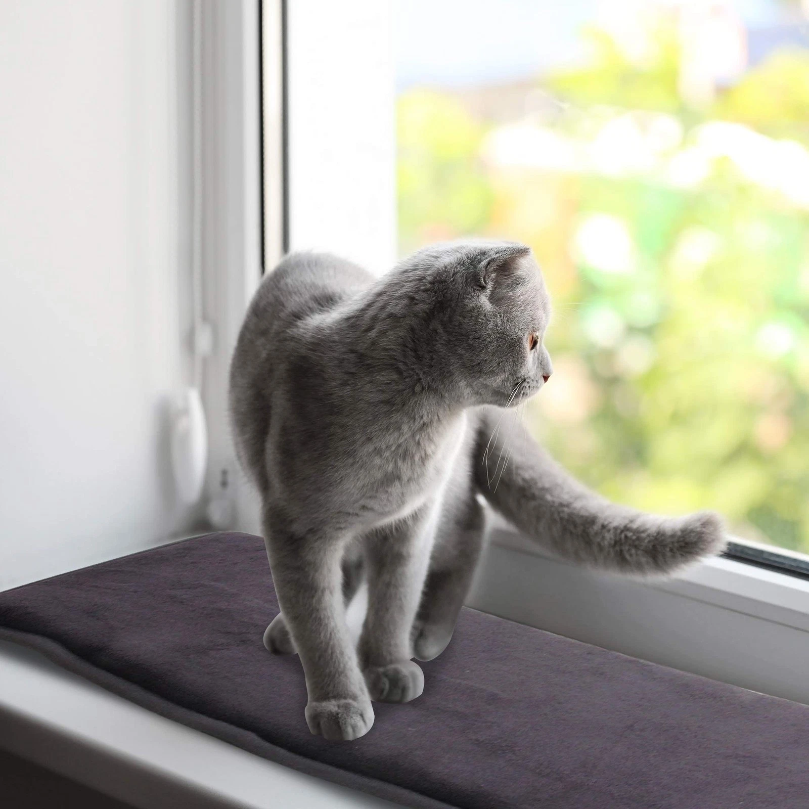 pet prime Cat Window Bed, Cat Window Hammock, Sill Non-Slip Lounger Cushion f...