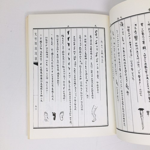 Origin and Development of Chinese Ideographs Characters by Kang Yin Chinese Lang - Imagen 7 de 14