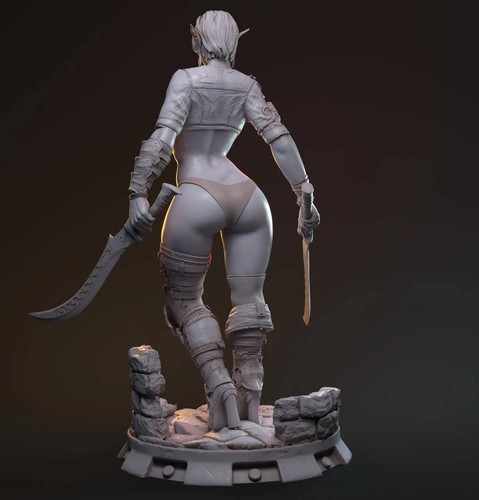 Hanza, Elf Drow Fighter | Hardwitch Games - 第 19/39 張圖片