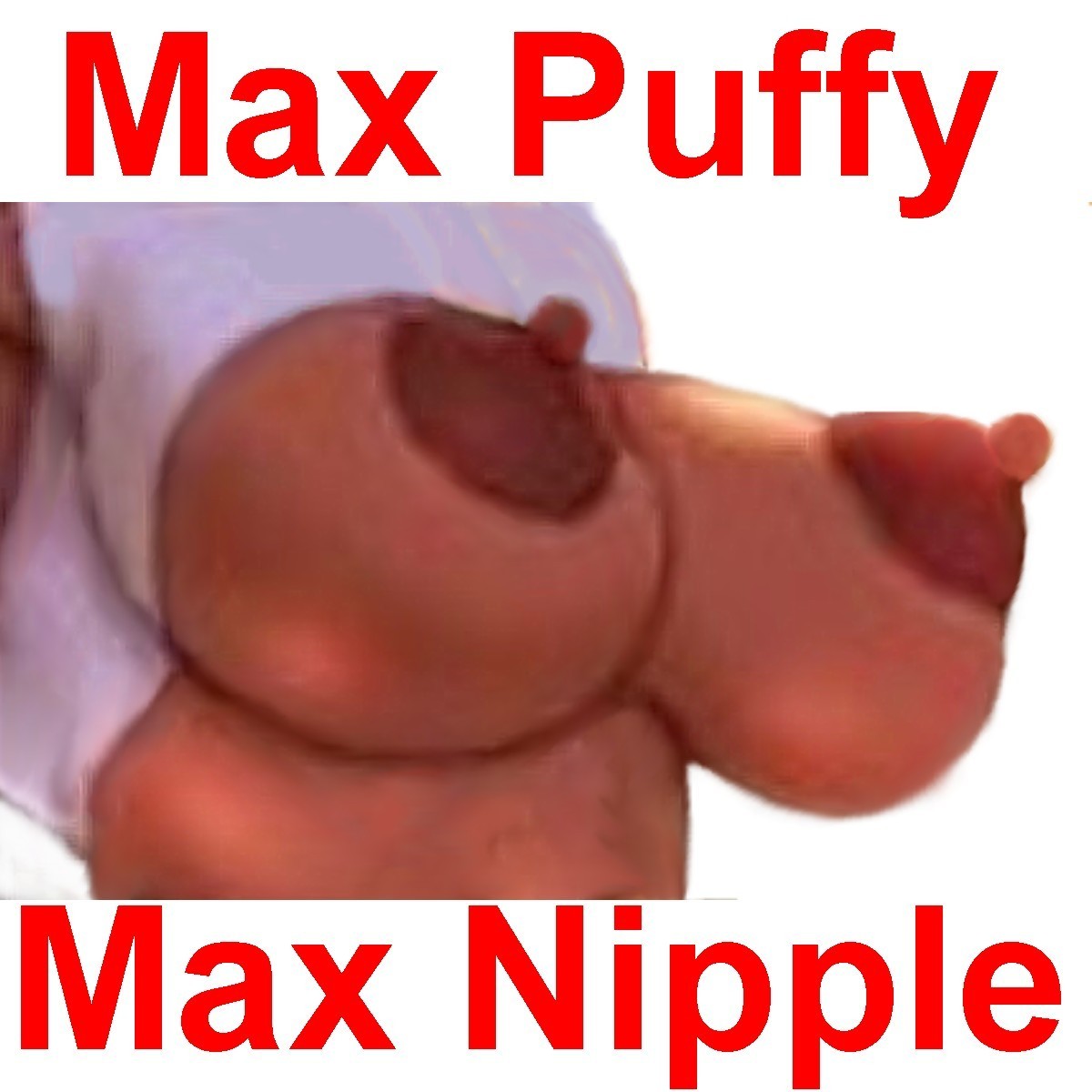 Puffy Nipples Porn GIF #112