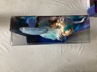 NEW DISNEY FROZEN ICE SKATING ELSA!! — photo 4