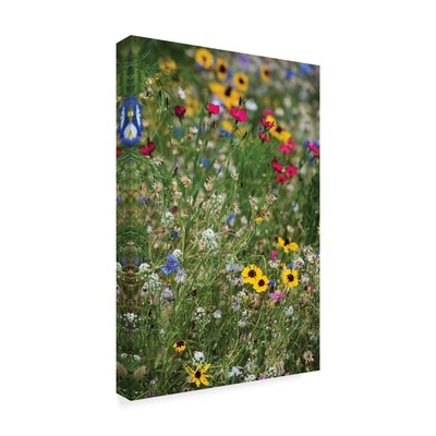 KS01419-C2232GG Fine Art, 22x32-Inch, Multicolor