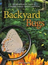 Backyard Bugs : An Identification Guide to Common Insects, Spiders and More ...