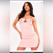 NWT PLT tall, light pink satin rose, bust, detailed, mini dress
