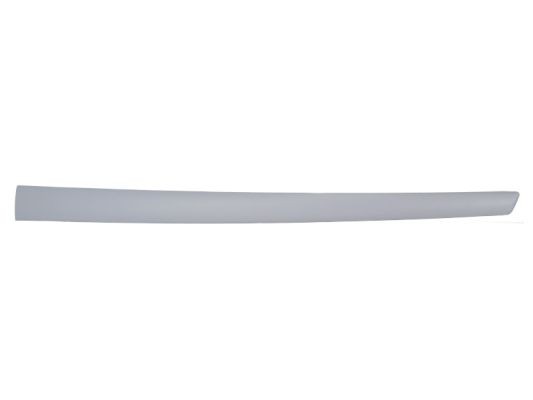 Right Front BLIC 5703-04-2564576CP Trim/Protection Strip, wing for FORD