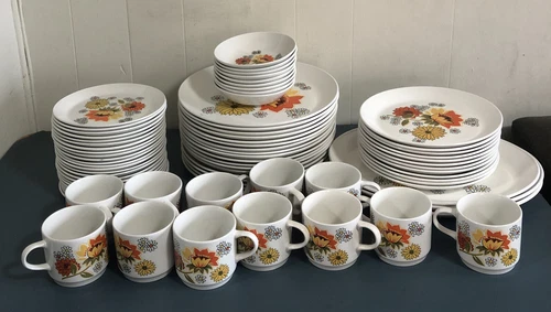 Lot Of 66 Pcs. Rare Johnson Brothers China Pasadena Orange Yellow Flowers 70s
