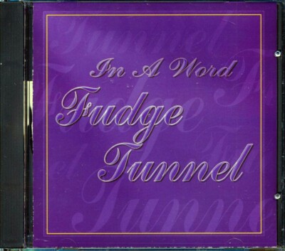 CD Fudge Tunnel - In A Word