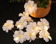 White Plumeria String Lights Frangipani Gardenia Led String Battery Wedding 3mtr