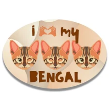 Magnet Me Up I Love My Bengal Cat Breed Car Magnet Decal, 4x6 Inches