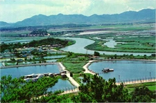 View Across Chinese Border & Flooded Rice Paddy Fields of Lok Ma Chau Hong Kong