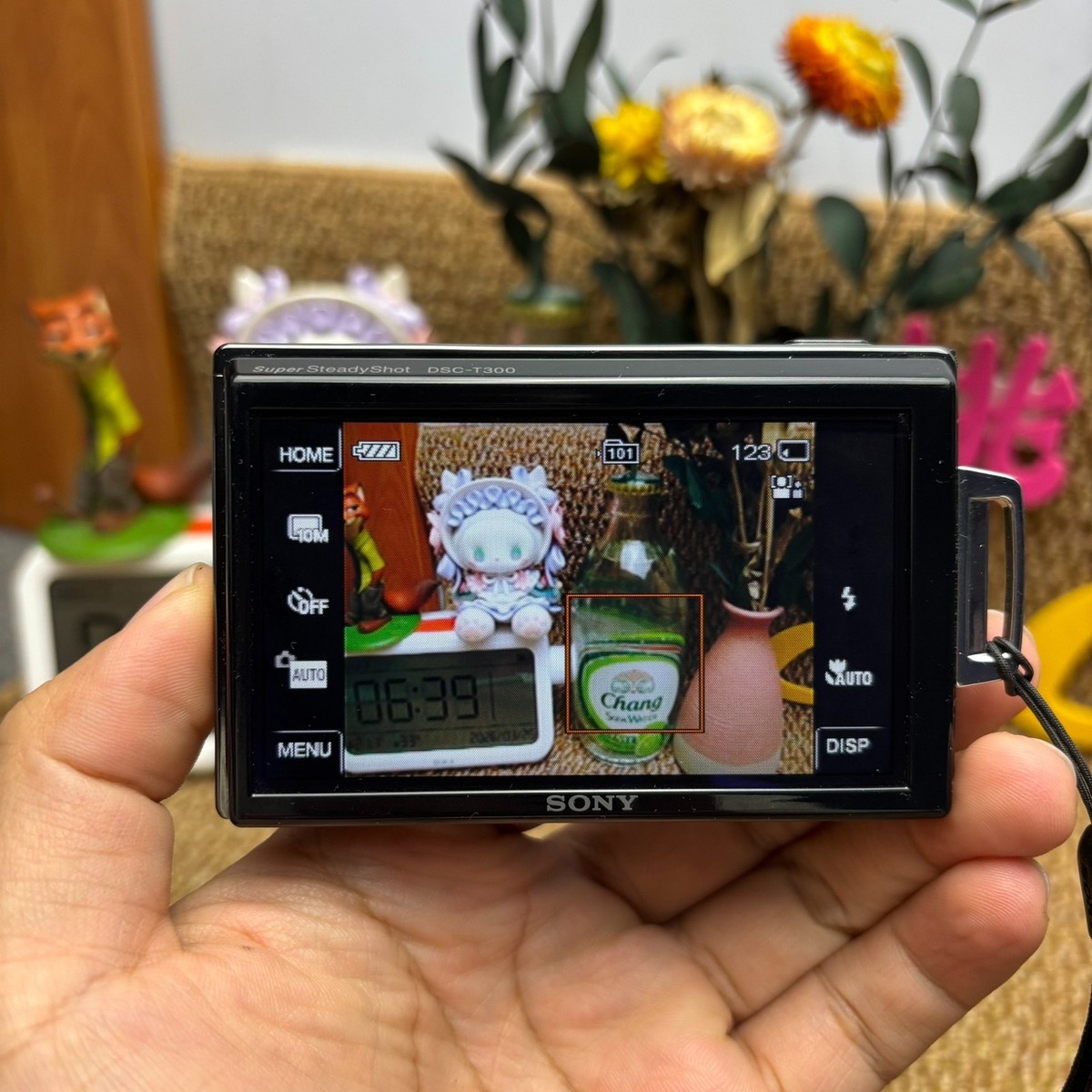 Sony Cyber-shot DSC-T300 Digital Camera 10.1 MP 5x Optical Zoom