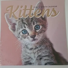 2026 Kittens 12-Month Wall Calendar - 