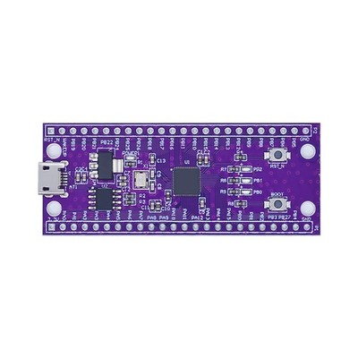 3X(W806 MCU-Entwicklungsboard IoT Flaches Low--MCU-Chip-Core-Board mit Verb5919