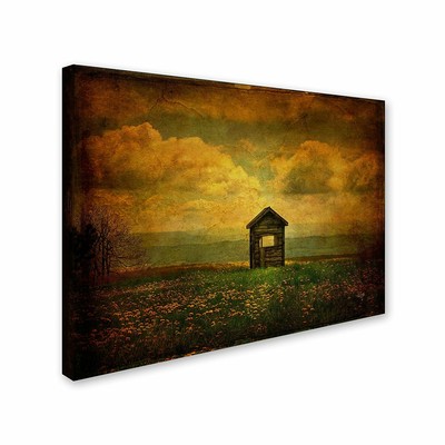 Trademark Fine Art ''Field of Dandelions'' Canvas Art by Lois Bryan 22x32'' - NEW