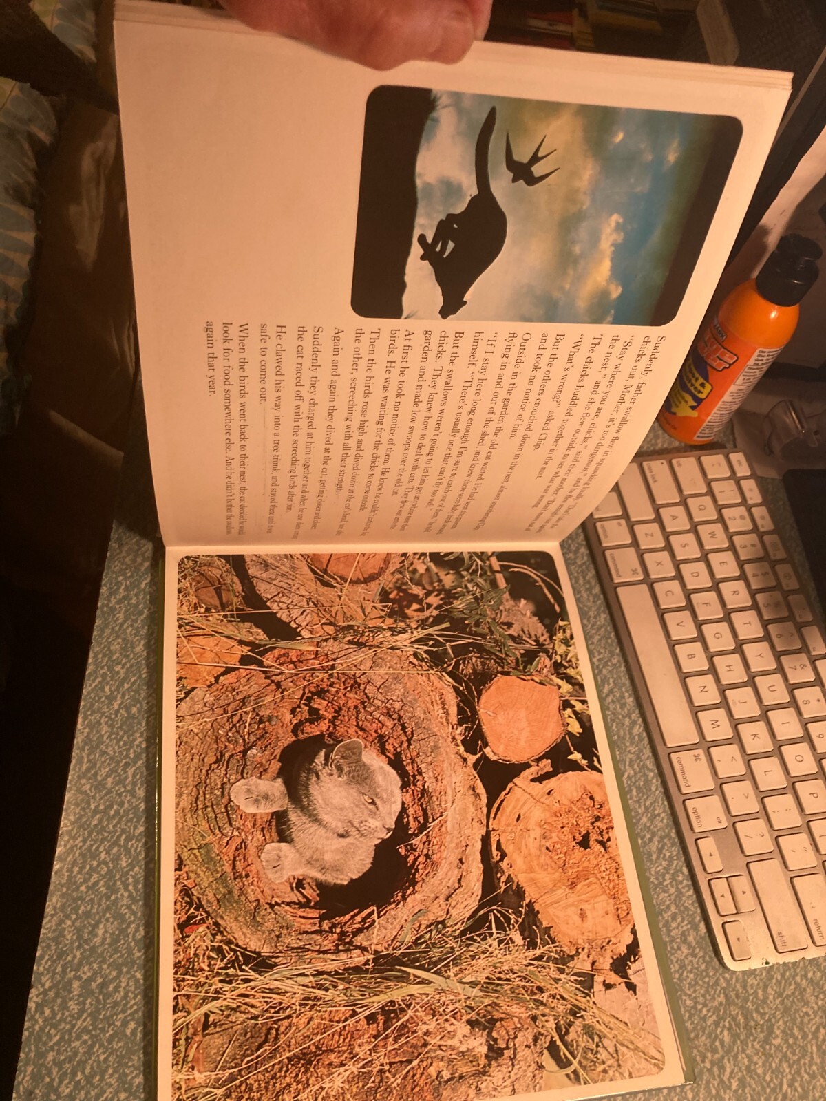 Picture 3 of 5
