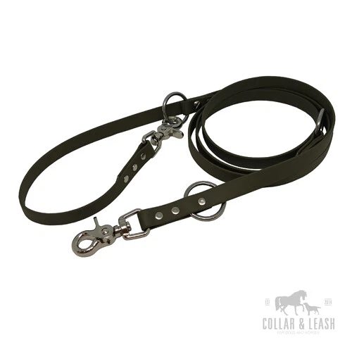 European top dog leash