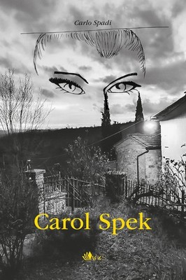 Bücher Schwerter Karl - Carol Spek