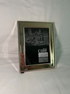 Silver Picture Frame 4x6