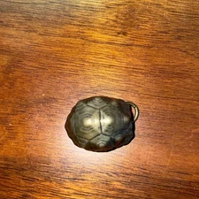 Cloche de tortue en métal fait main, artisanat, charme conceptuel,...