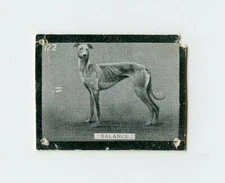 #TN10958 BALANCE Ogden's Tobacco Card w/o Tab