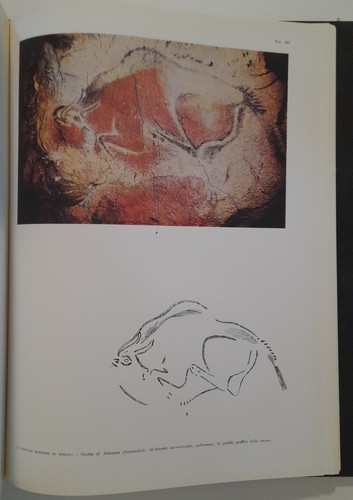 L'arte dell'antica età della pietra - Le Lettere Paolo Graziosi - Bild 7 von 12